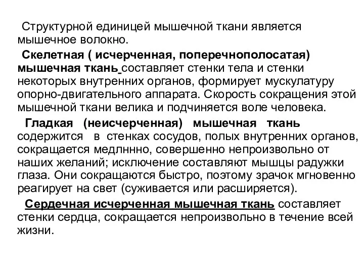 Структурной единицей мышечной ткани является мышечное волокно. Скелетная ( исчерченная,