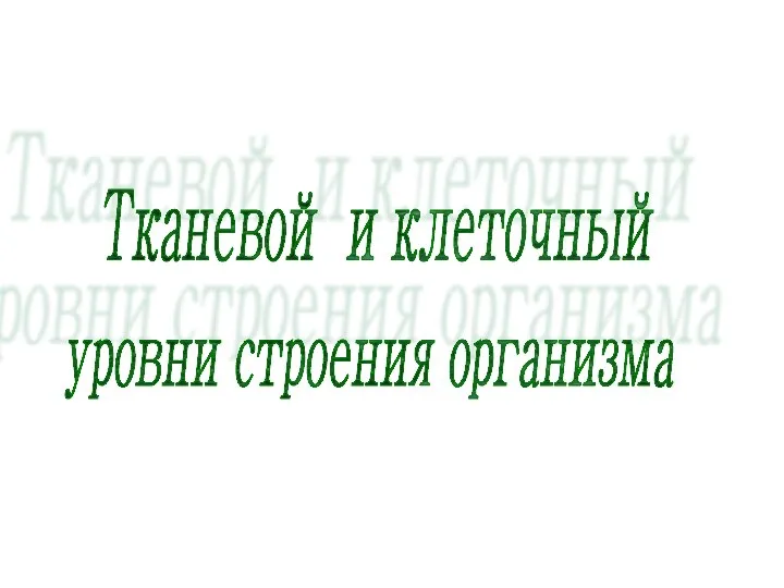 Тканевой и клеточный уровни строения организма