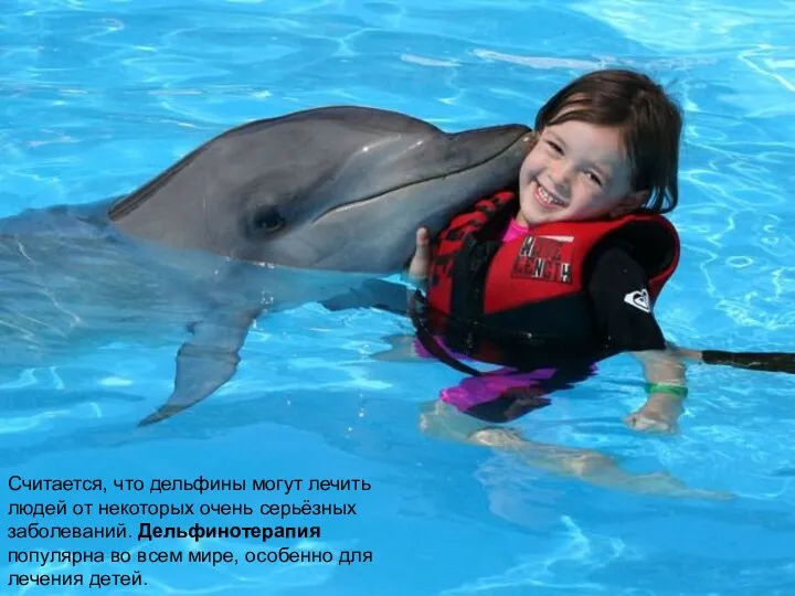 Считается, что дельфины могут лечить людей от некоторых очень серьёзных