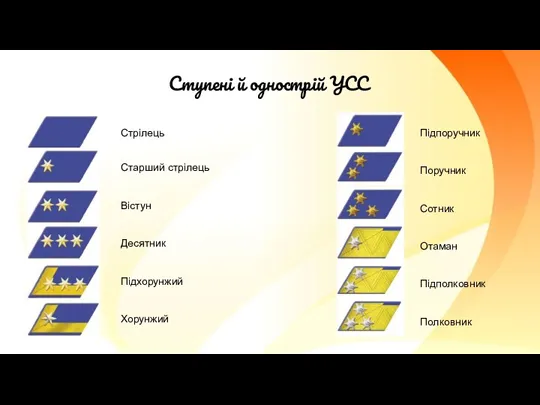 Ступені й однострій УСС Стрілець Старший стрілець Вістун Десятник Підхорунжий