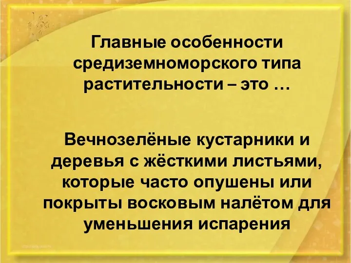 Главные особенности средиземноморского типа растительности – это … Вечнозелёные кустарники