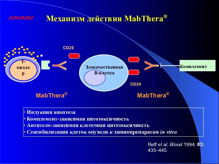 Механизм действия MabThera® Индукция апоптоза Комплемент-зависимая цитотоксичность Антитело-зависимая клеточная цитотоксичность Сенсибилизация клеток опухоли