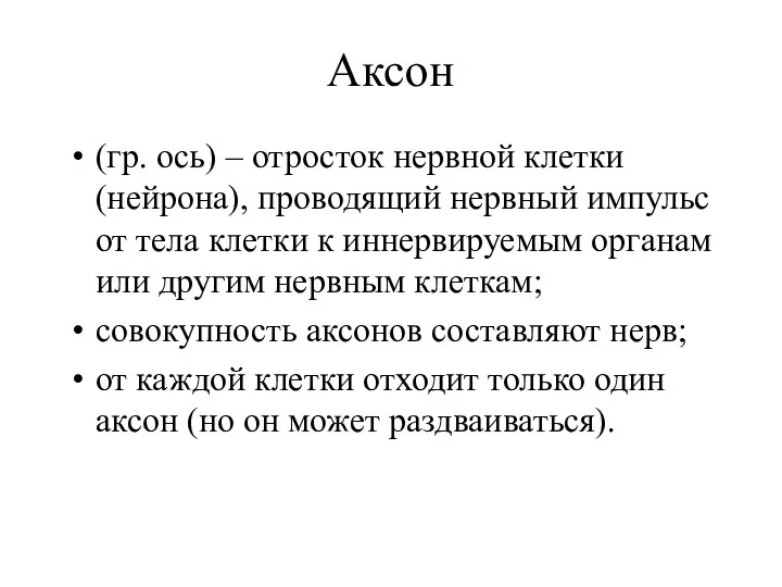 Аксон (гр. ось) – отросток нервной клетки (нейрона), проводящий нервный