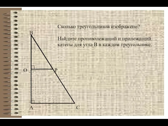 А В С О Р Сколько треугольников изображено? Найдите противолежащий и прилежащий катеты
