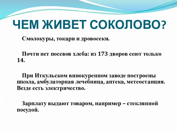 ЧЕМ ЖИВЕТ СОКОЛОВО? Смолокуры, токари и дровосеки. Почти нет посевов