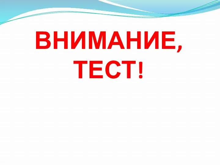 ВНИМАНИЕ, ТЕСТ!