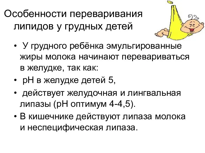 Особенности переваривания липидов у грудных детей У грудного ребёнка эмульгированные