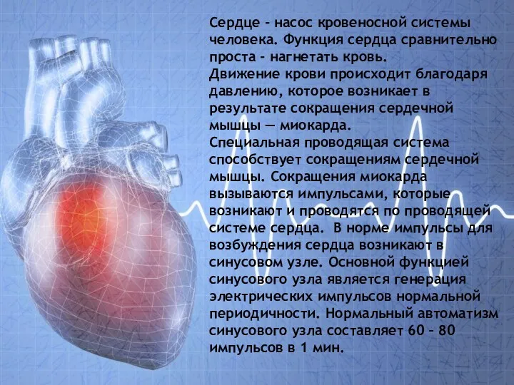 . Сердце - насос кровеносной системы человека. Функция сердца сравнительно проста - нагнетать