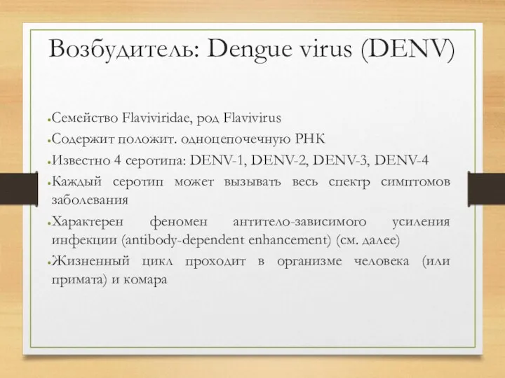 Возбудитель: Dengue virus (DENV) Семейство Flaviviridae, род Flavivirus Содержит положит.