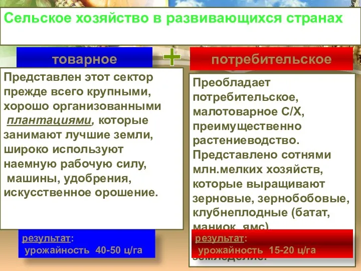 Сельское хозяйство в развивающихся странах товарное потребительское Представлен этот сектор