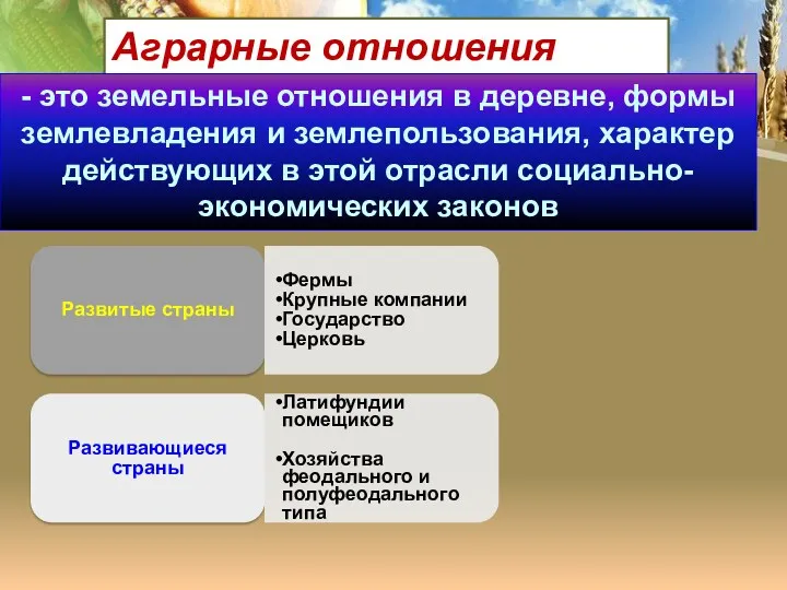 Аграрные отношения - это земельные отношения в деревне, формы землевладения