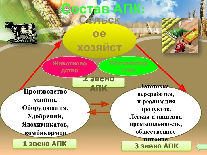 Состав АПК: Сельское хозяйство Животноводство Растениеводство 2 звено АПК Производство