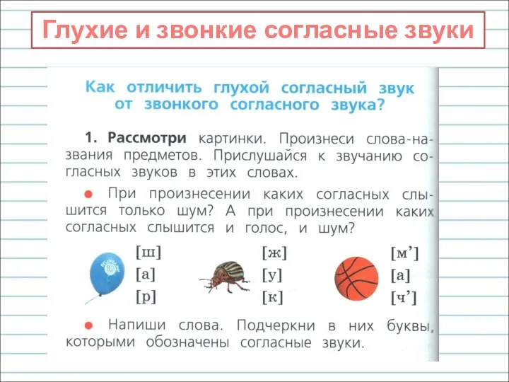 Глухие и звонкие согласные звуки