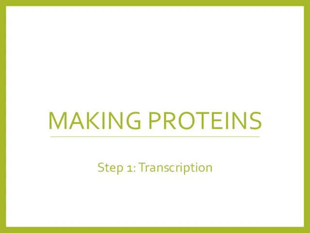 MAKING PROTEINS Step 1: Transcription