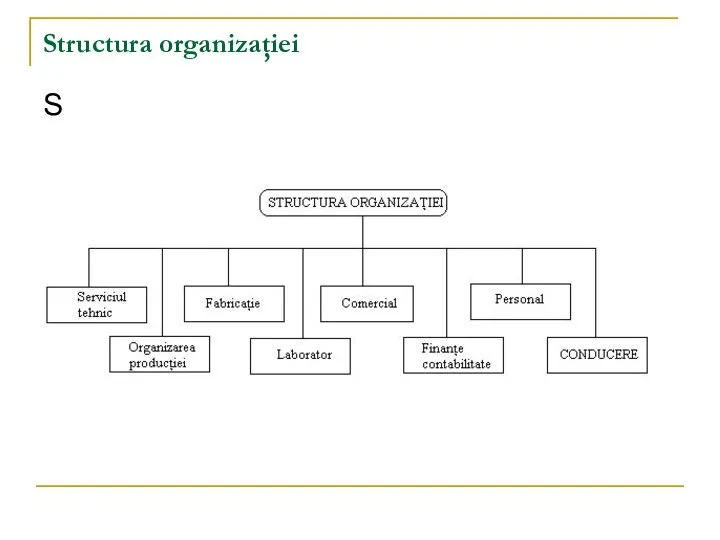 Structura organizaţiei S