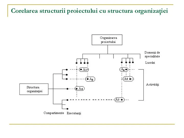 Corelarea structurii proiectului cu structura organizaţiei