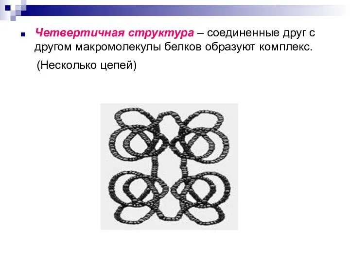 Четвертичная структура – соединенные друг с другом макромолекулы белков образуют комплекс. (Несколько цепей)
