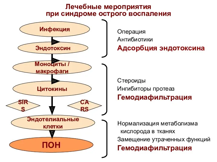 Лечебные мероприятия при синдроме острого воспаления Инфекция Эндотоксин Моноциты /