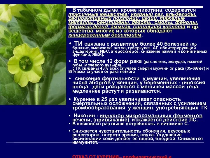 В табачном дыме, кроме никотина, содержатся токсичные вещества: угарный газ,