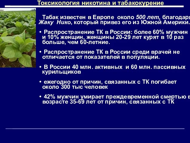 Табак известен в Европе около 500 лет, благодаря Жаку Нико,