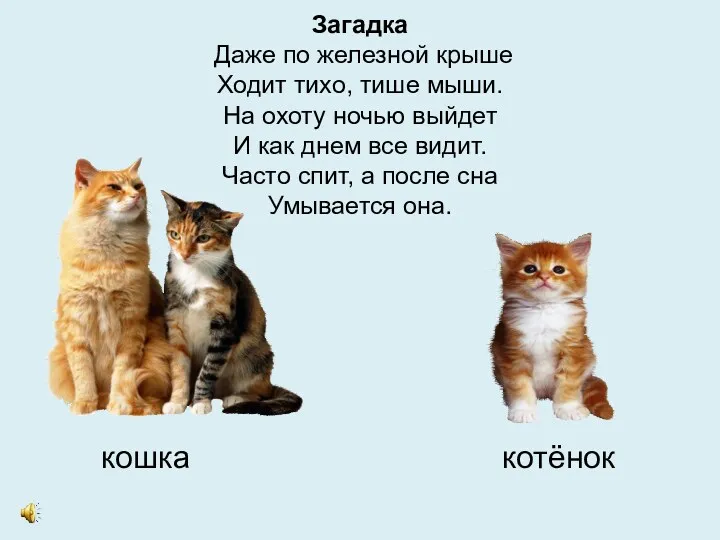 Загадка Даже по железной крыше Ходит тихо, тише мыши. На охоту ночью выйдет