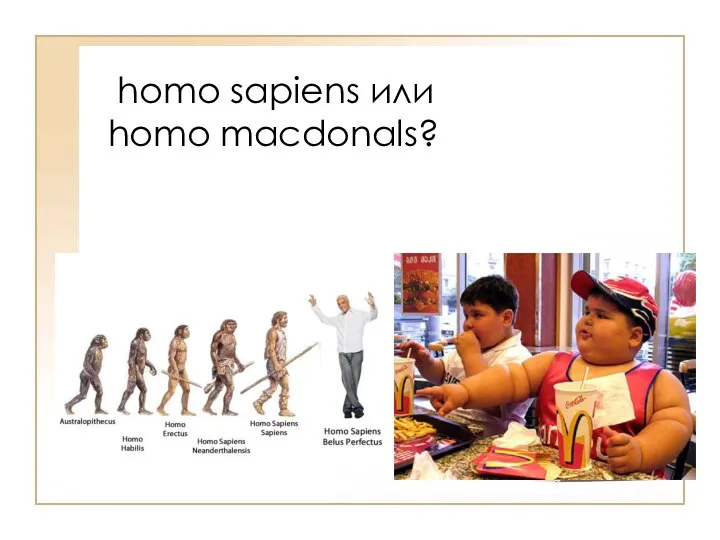 homo sapiens или homo macdonals?