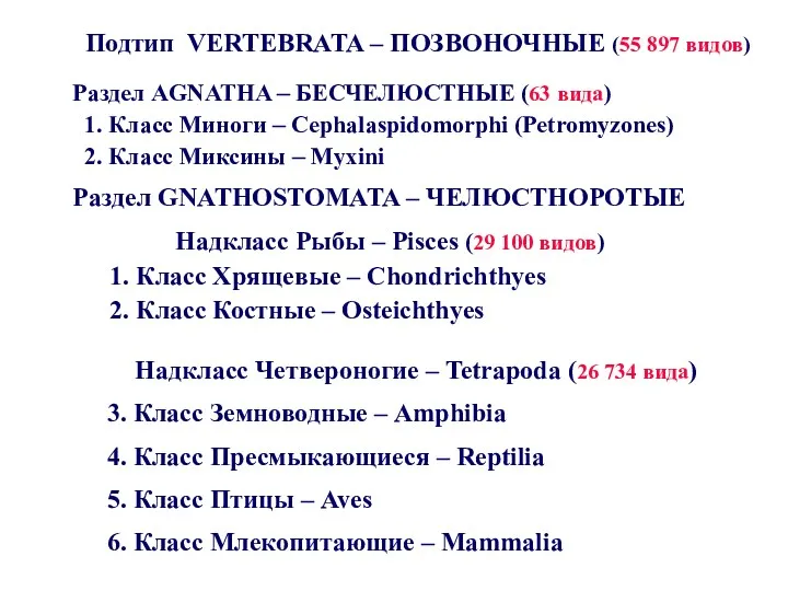 Надкласс Четвероногие – Tetrapoda (26 734 вида) 3. Класс Земноводные