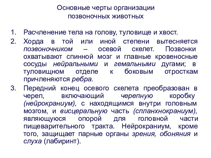 Основные черты организации позвоночных животных Расчленение тела на голову, туловище