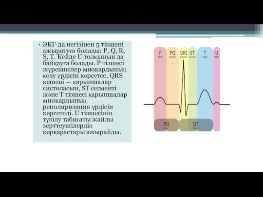 ЭКГ-да негізінен 5 тізшені ажыратуға болады: P, Q, R, S,