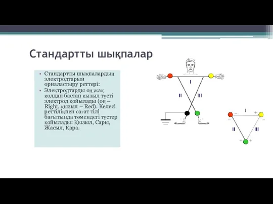 Стандартты шықпалар Стандартты шықпалардың электродтарын орналастыру реттері: Электродтарды оң жақ