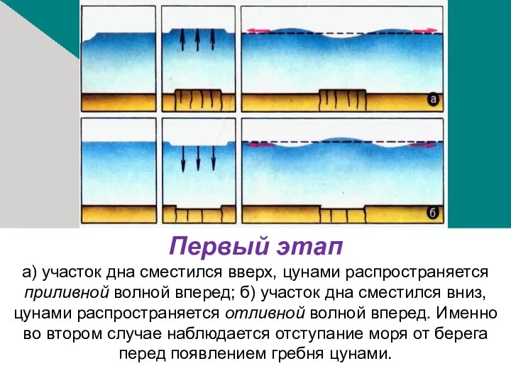 Первый этап а) участок дна сместился вверх, цунами распространяется приливной