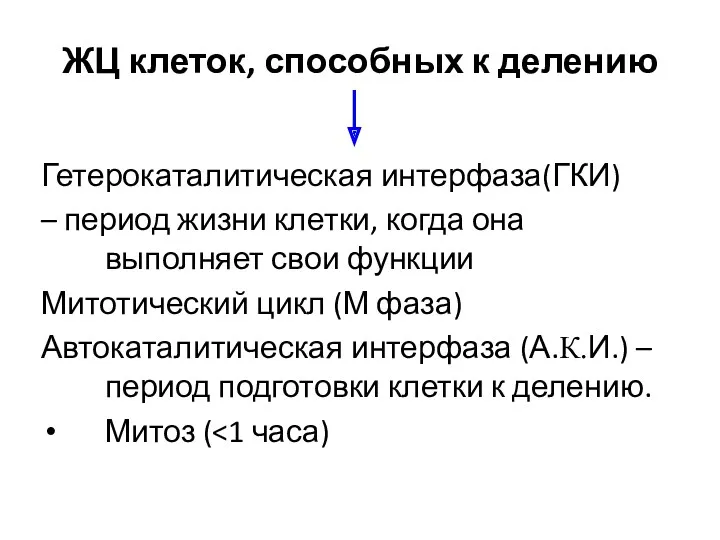 ЖЦ клеток, способных к делению Гетерокаталитическая интерфаза(ГКИ) – период жизни