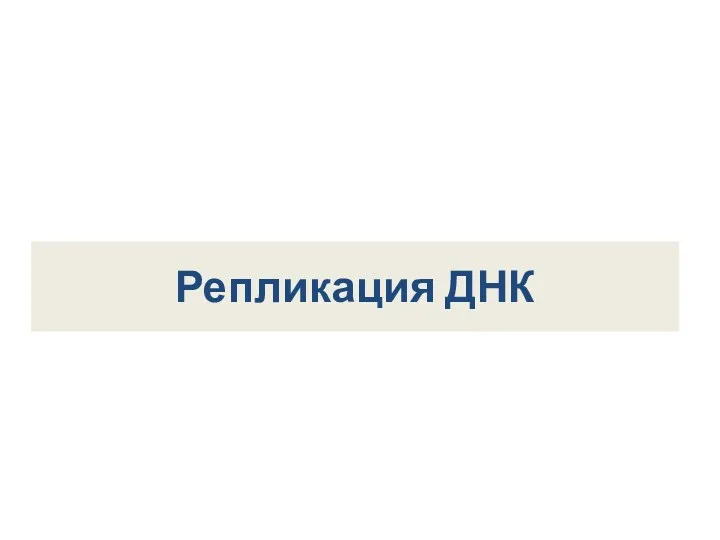 Репликация ДНК