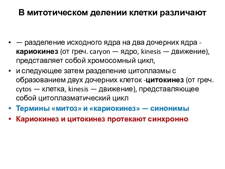 В митотическом делении клетки различают — разделение исходного ядра на