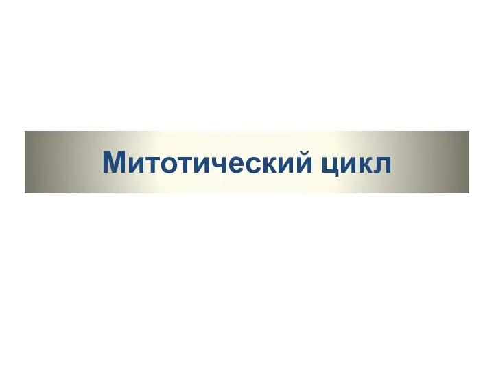 Митотический цикл