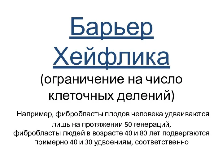 Барьер Хейфлика (ограничение на число клеточных делений) Например, фибробласты плодов