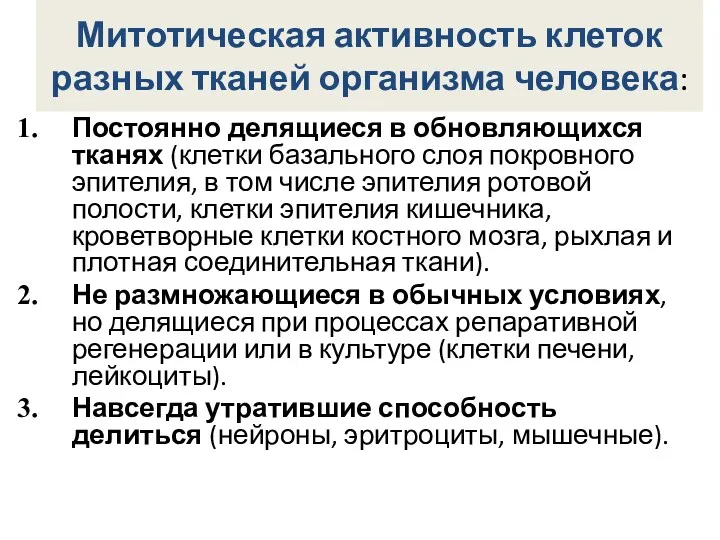 Митотическая активность клеток разных тканей организма человека: Постоянно делящиеся в