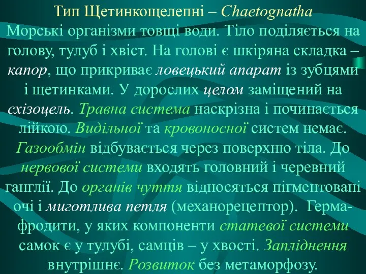 Тип Щетинкощелепні – Chaetognatha Морські організми товщі води. Тіло поділяється