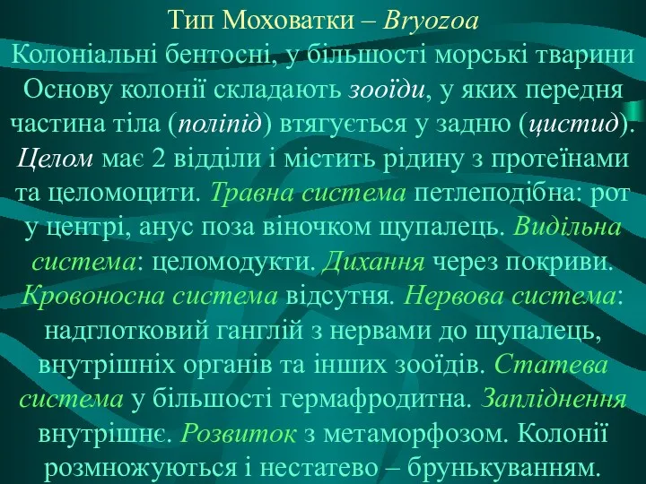 Тип Моховатки – Bryozoa Колоніальні бентосні, у більшості морські тварини