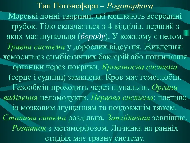 Тип Погонофори – Pogonophora Морські донні тварини, які мешкають всередині