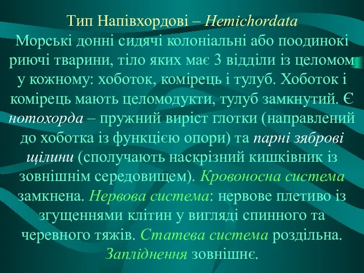 Тип Напівхордові – Hemiсhordata Морські донні сидячі колоніальні або поодинокі