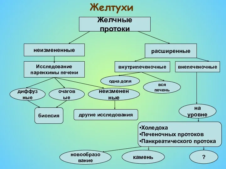 Желтухи Желчные протоки неизмененные расширенные Исследование паренхимы печени диффузные очаговые