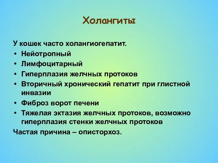 Холангиты У кошек часто холангиогепатит. Нейотропный Лимфоцитарный Гиперплазия желчных протоков