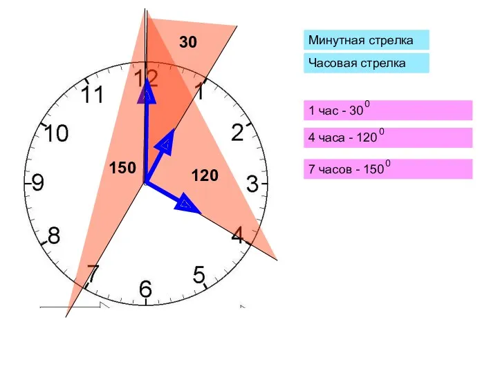 Минутная стрелка 1 час - 30 4 часа - 120 7 часов -