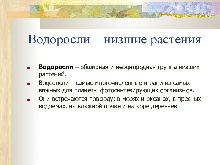 Водоросли – низшие растения Водоросли – обширная и неоднородная группа