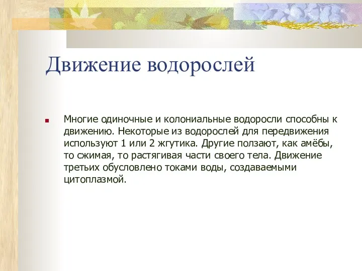 Движение водорослей Многие одиночные и колониальные водоросли способны к движению.