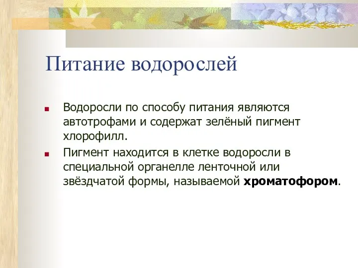 Питание водорослей Водоросли по способу питания являются автотрофами и содержат