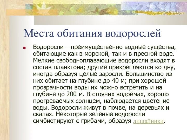 Места обитания водорослей Водоросли – преимущественно водные существа, обитающие как