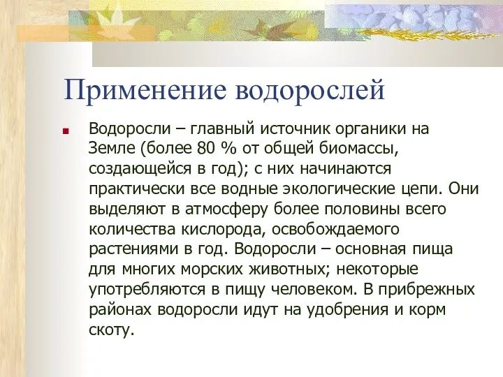 Применение водорослей Водоросли – главный источник органики на Земле (более