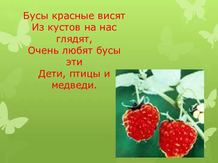 Бусы красные висят Из кустов на нас глядят, Очень любят бусы эти Дети, птицы и медведи.